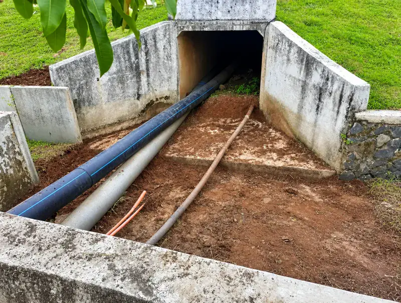 Drainage System Cleaning
