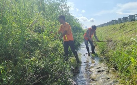 Drainage System Cleaning
