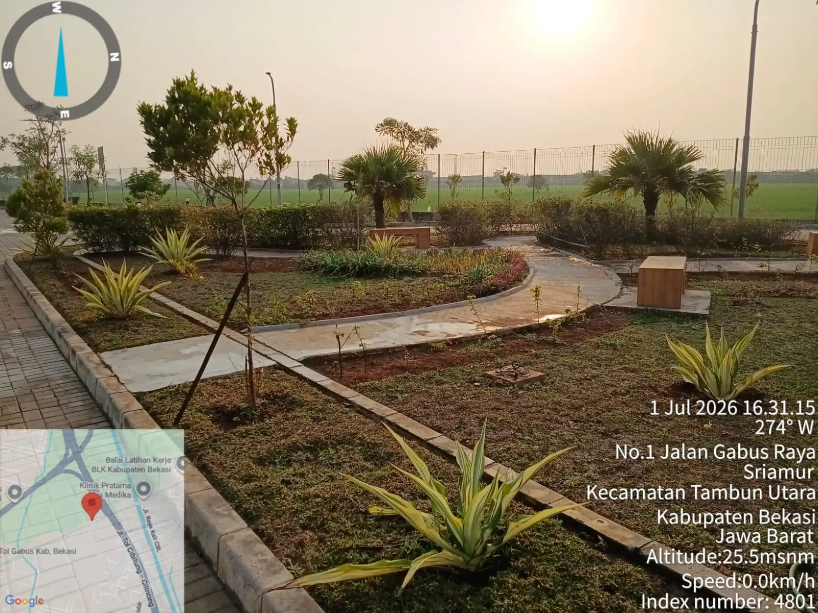 PERAWATAN TANAMAN HIAS