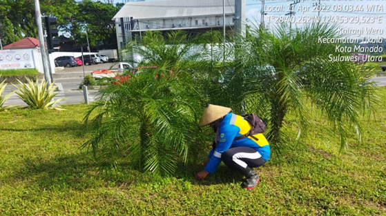 Garden Maintenance